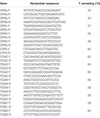 Gene Expression Patterns of Osteopontin Isoforms and Integrins in Malignant Melanoma